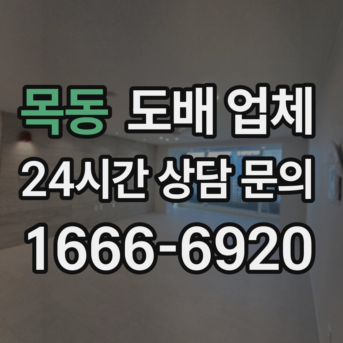 목동 도배 업체