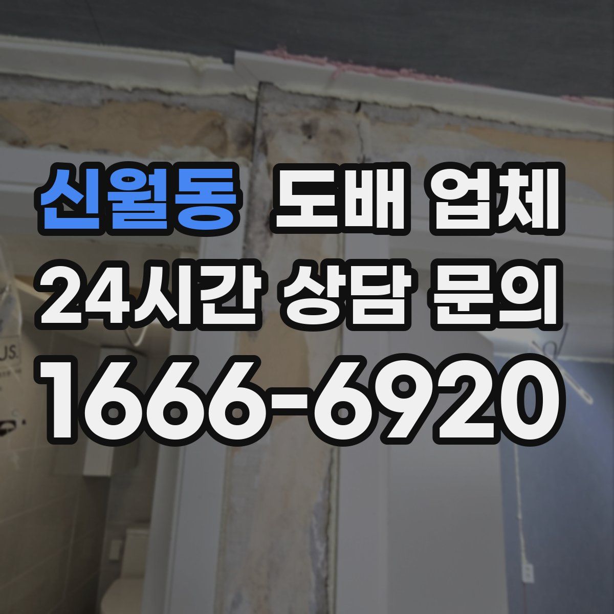 신월동 도배 업체