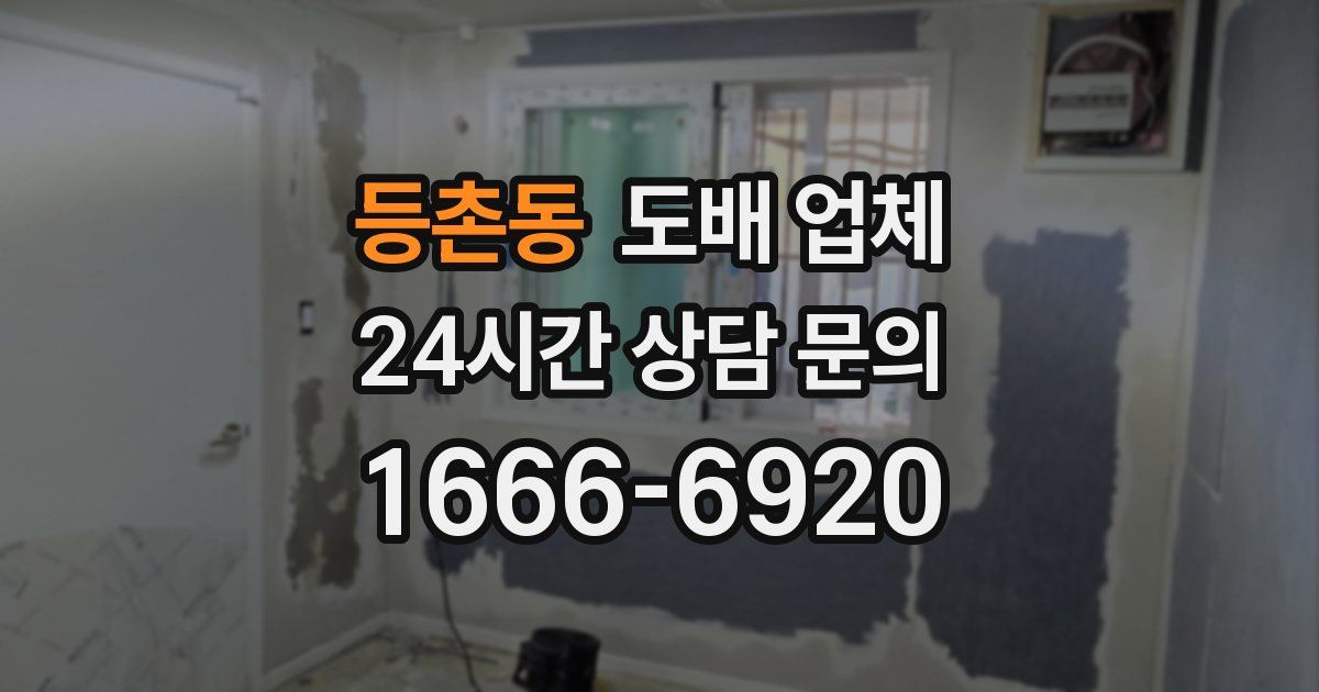 등촌동 도배 업체