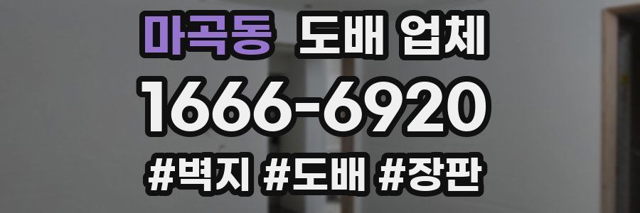 마곡동 도배 업체