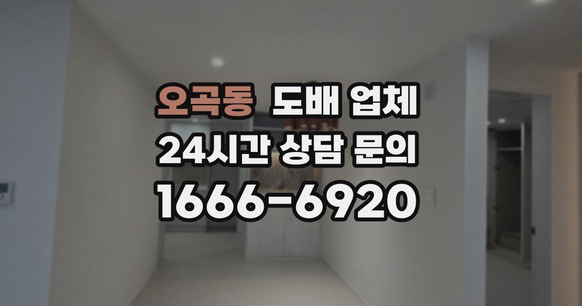 오곡동 도배 업체