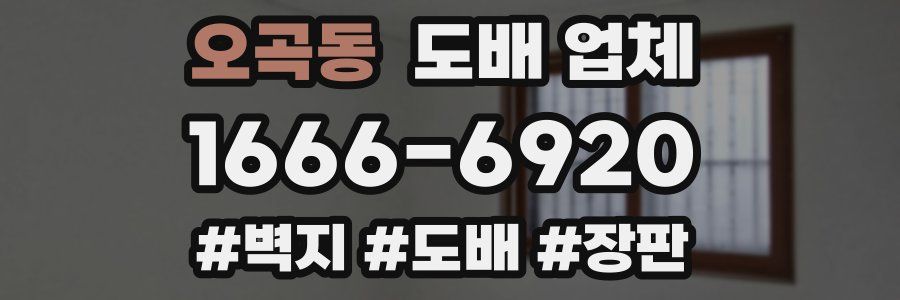 오곡동 도배 업체
