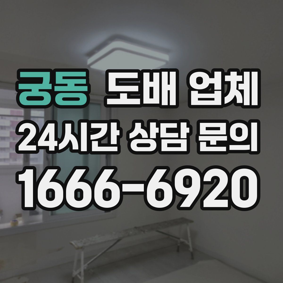 궁동 도배 업체