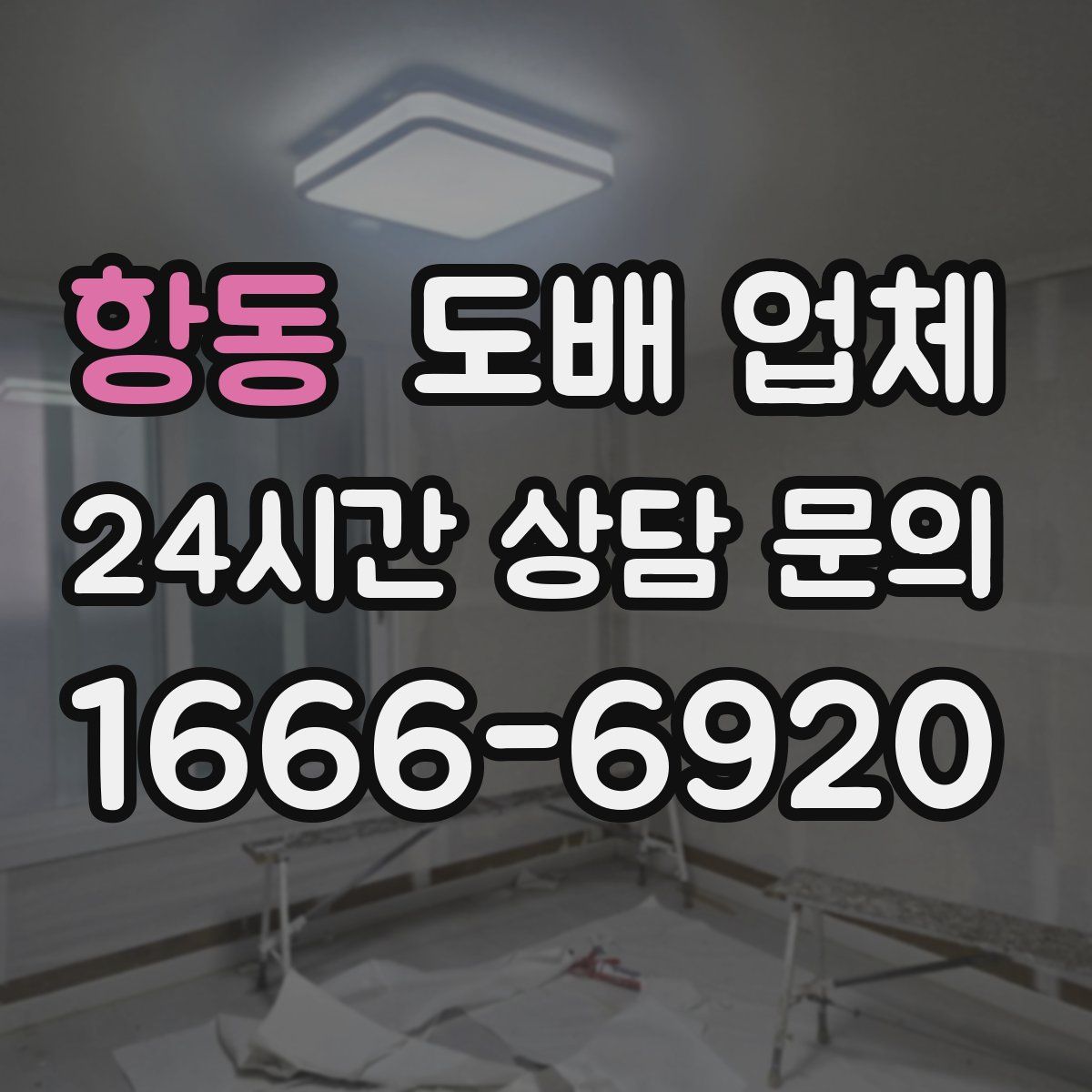항동 도배 업체