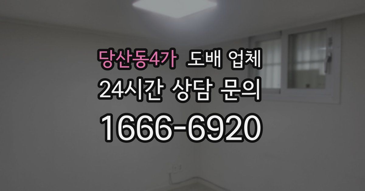 당산동4가 도배 업체