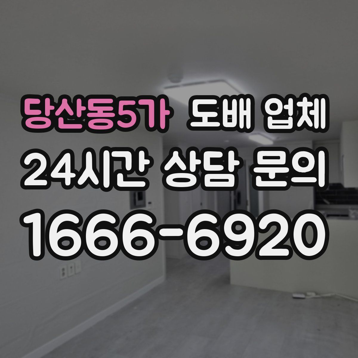 당산동5가 도배 업체