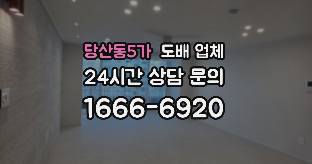 당산동5가 도배 업체
