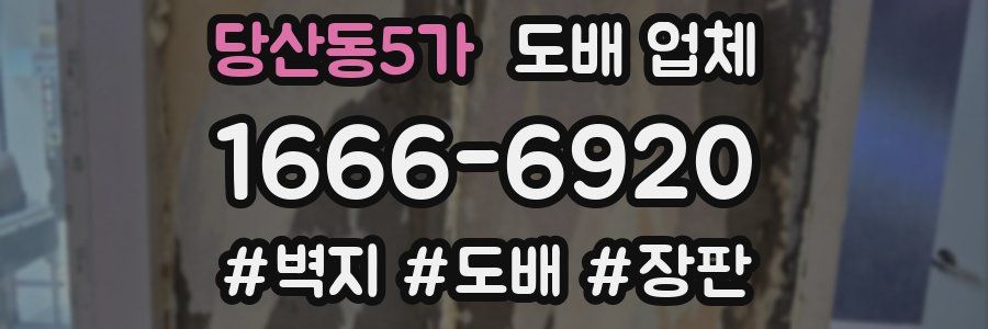 당산동5가 도배 업체