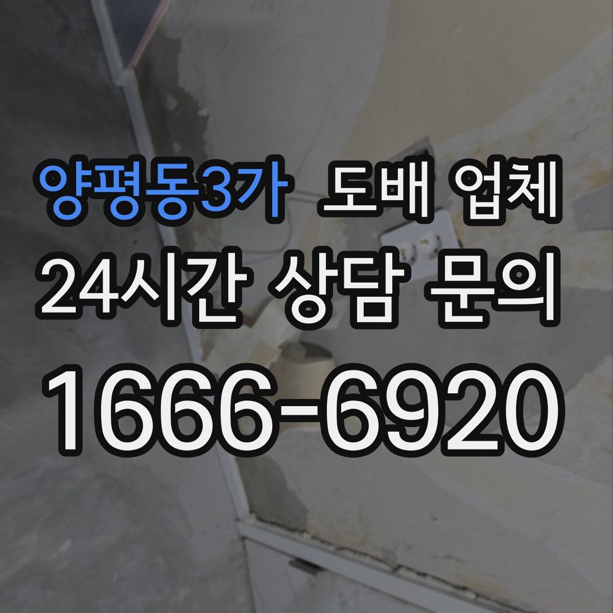 양평동3가 도배 업체