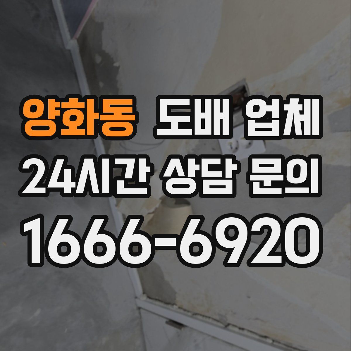 양화동 도배 업체