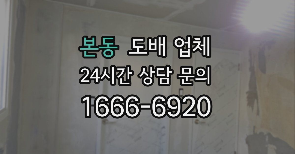 본동 도배 업체