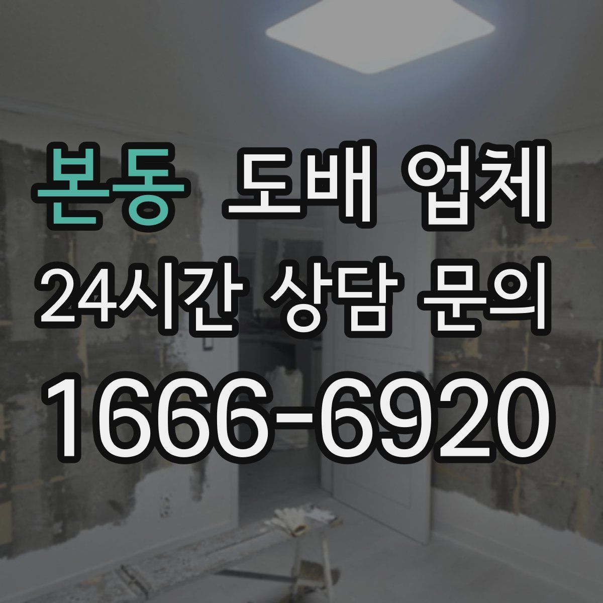 본동 도배 업체