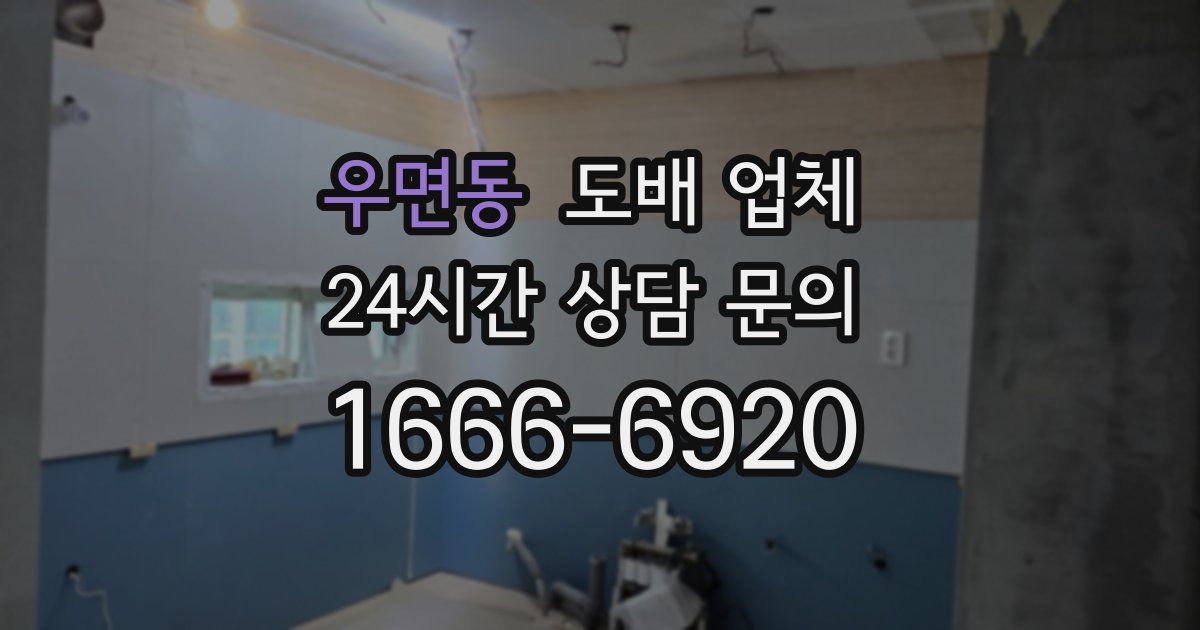 우면동 도배 업체