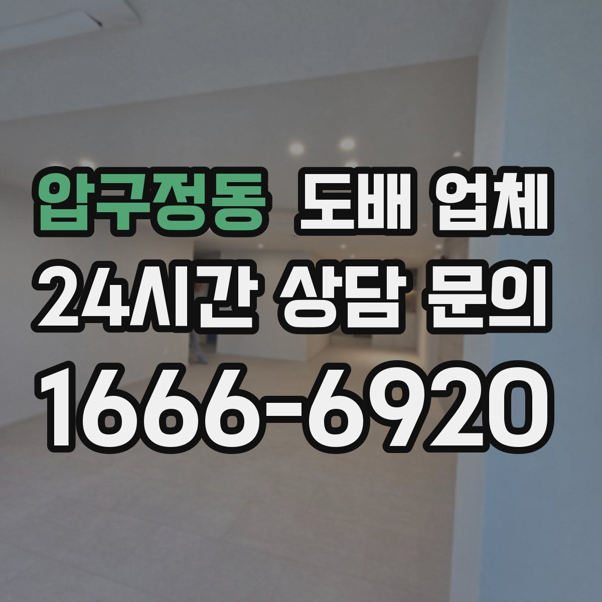 압구정동 도배 업체