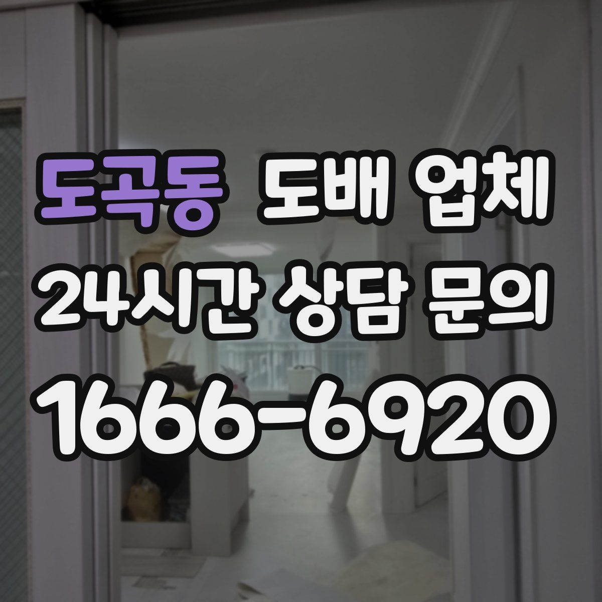 도곡동 도배 업체