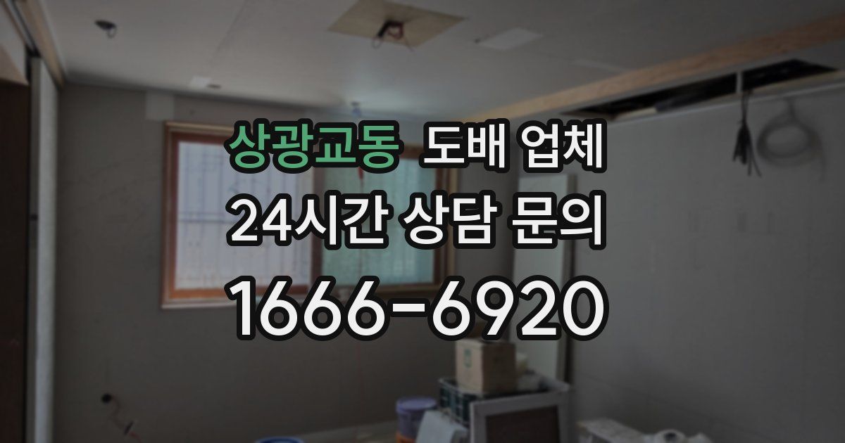 상광교동 도배 업체