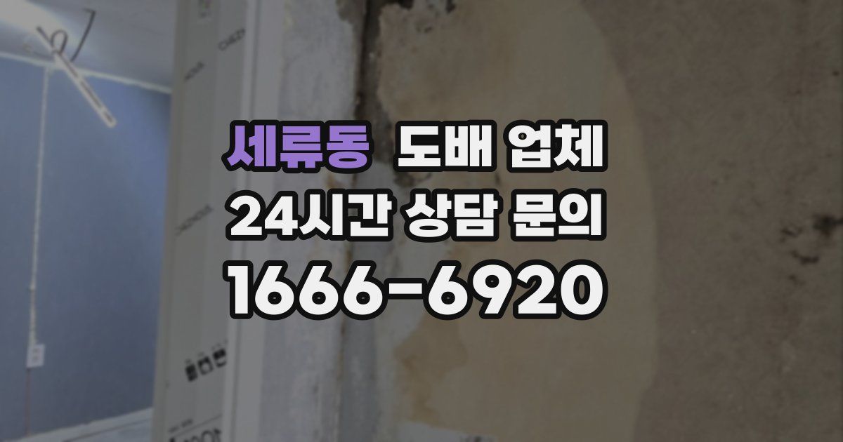 세류동 도배 업체