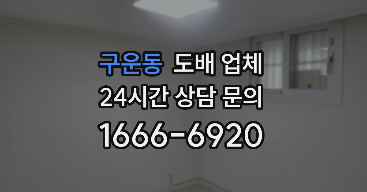 구운동 도배 업체