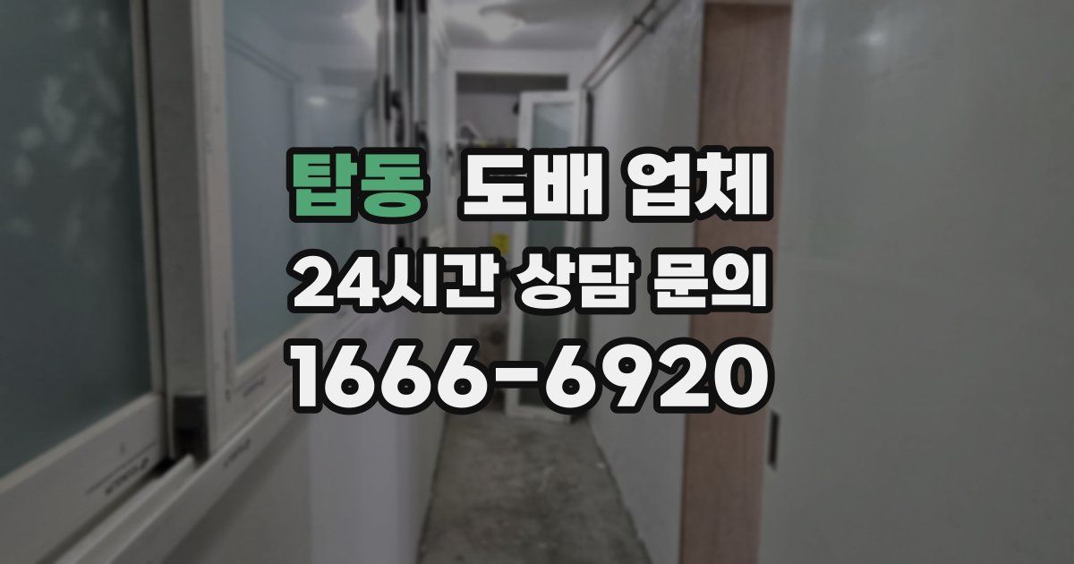 탑동 도배 업체