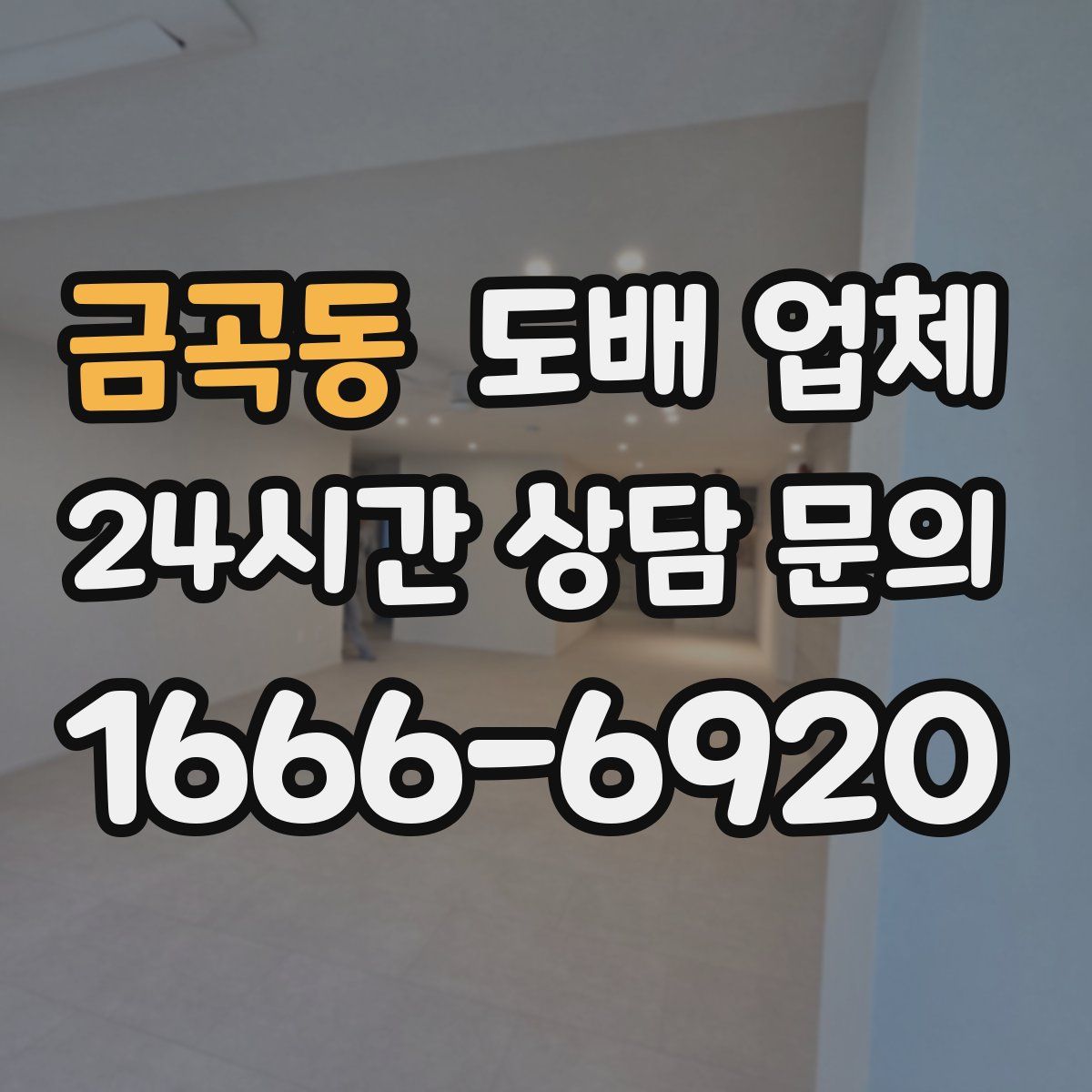 금곡동 도배 업체