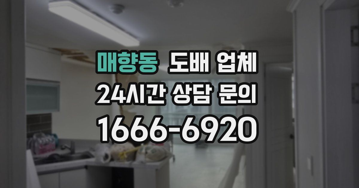 매향동 도배 업체