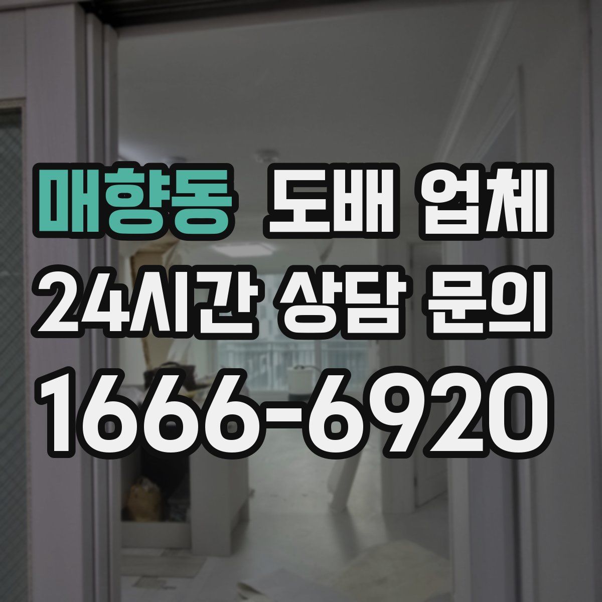 매향동 도배 업체