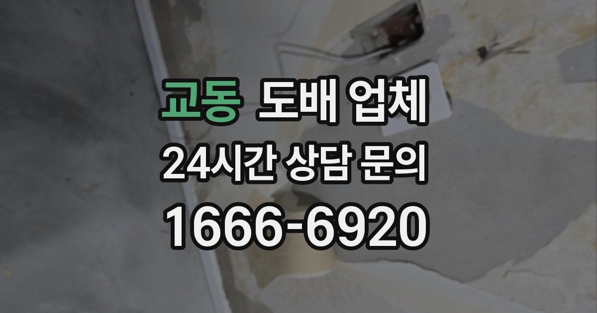 교동 도배 업체
