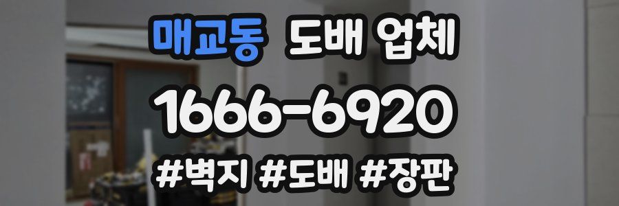 매교동 도배 업체