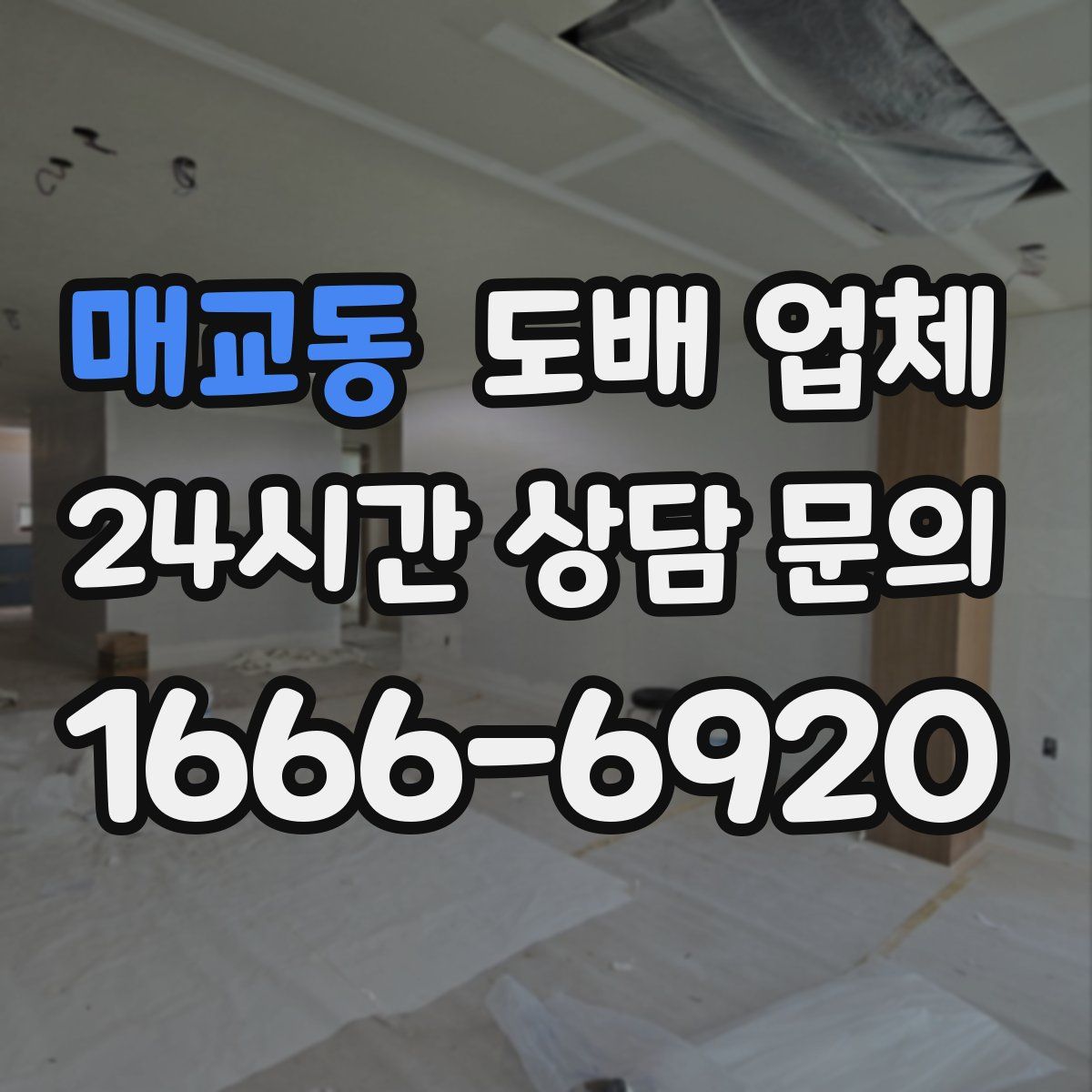 매교동 도배 업체