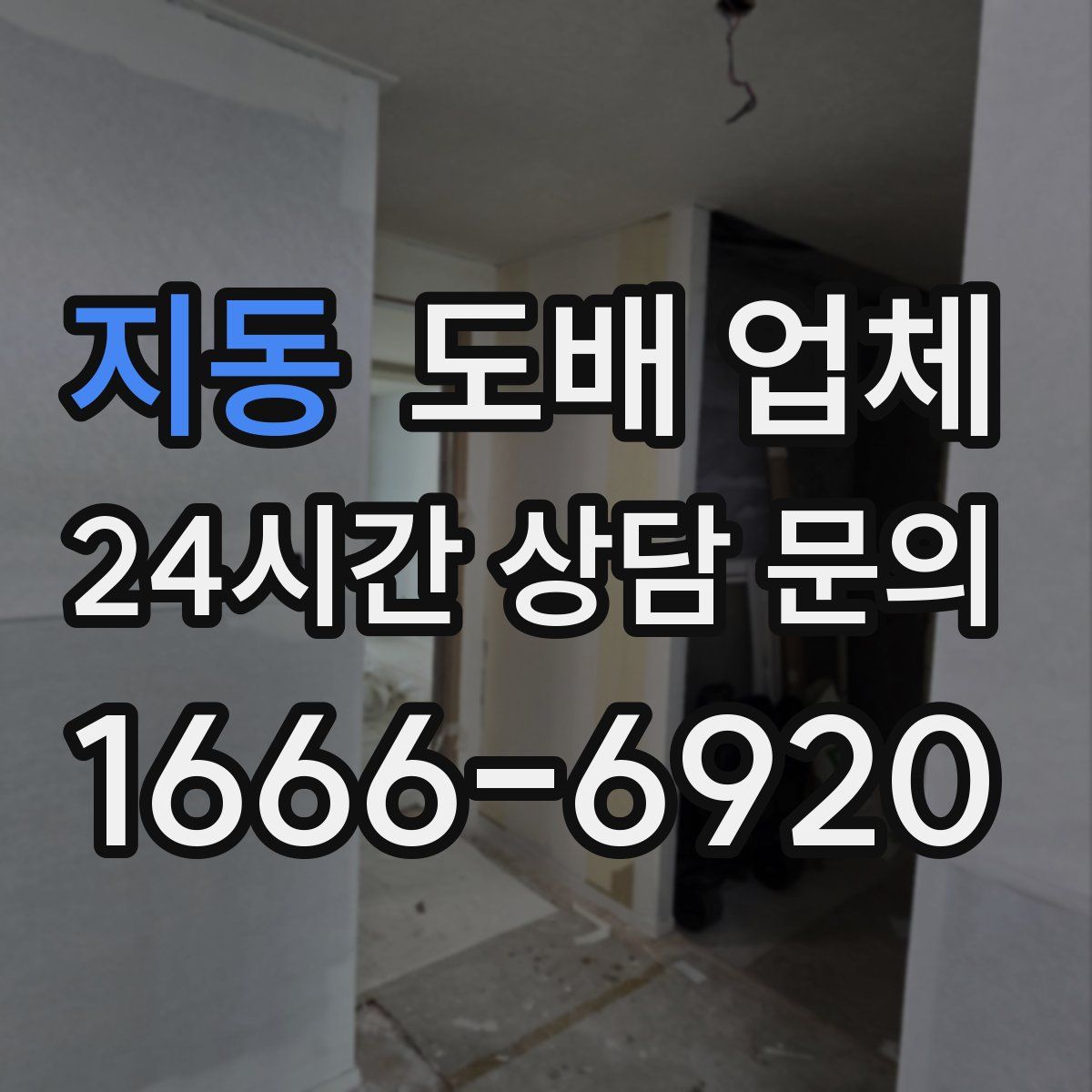 지동 도배 업체