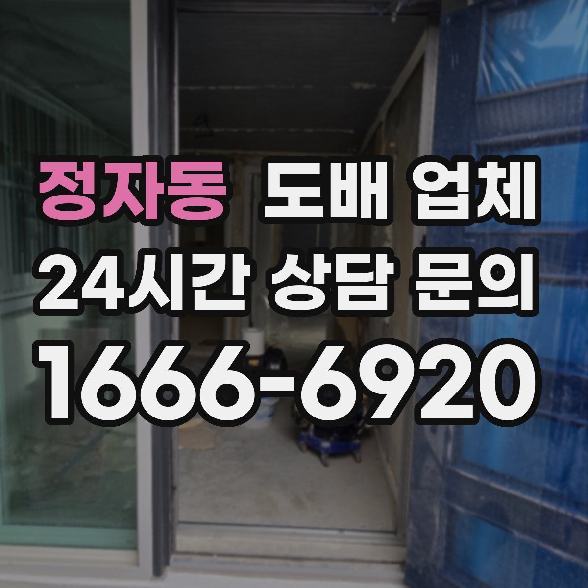 정자동 도배 업체
