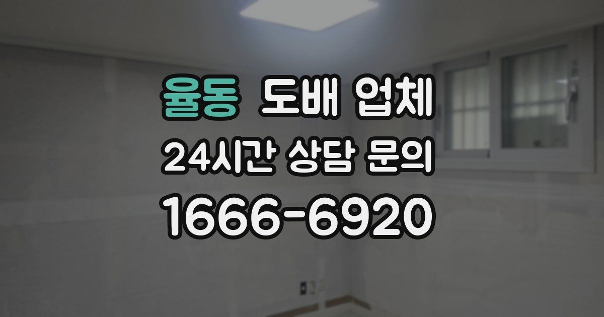 율동 도배 업체