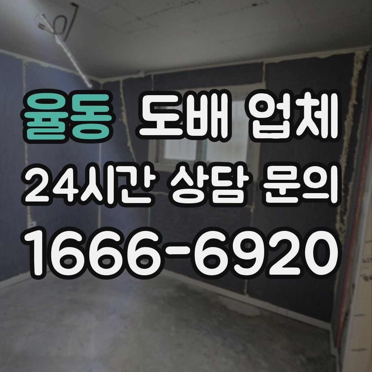 율동 도배 업체