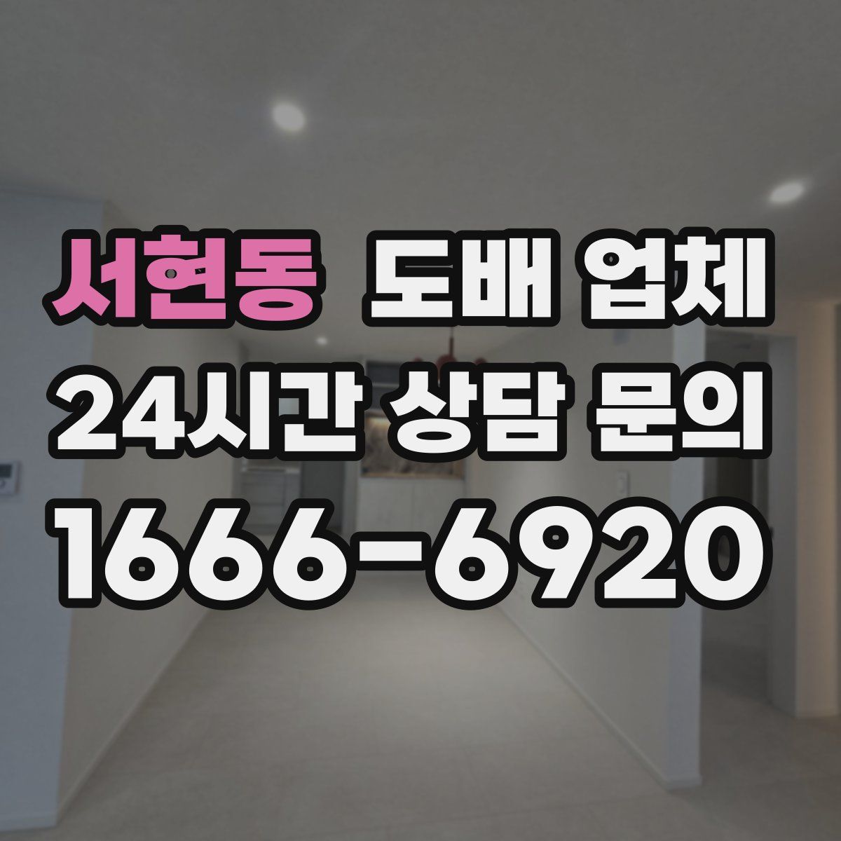 서현동 도배 업체