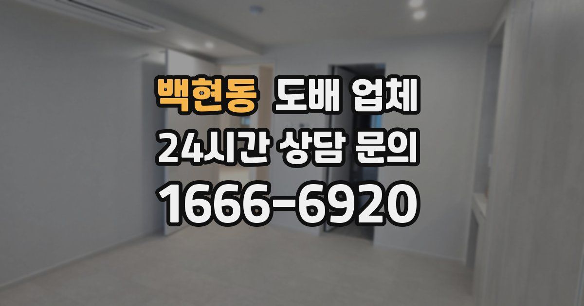백현동 도배 업체