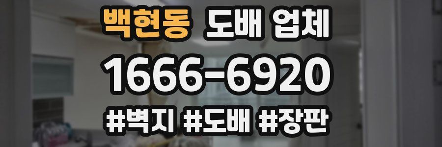 백현동 도배 업체