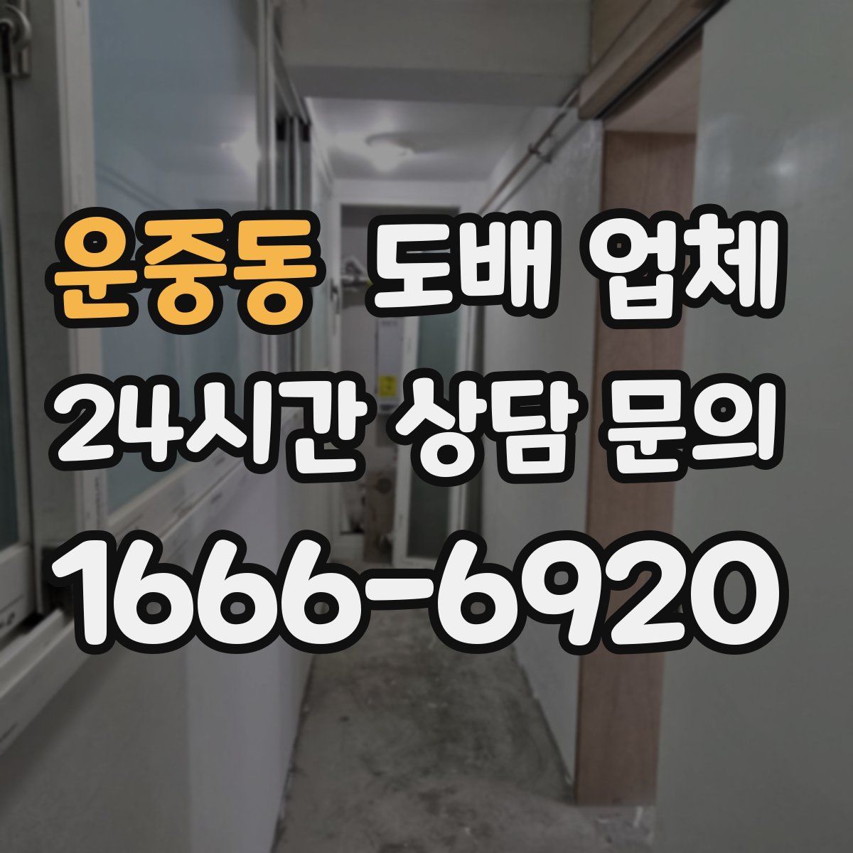 운중동 도배 업체
