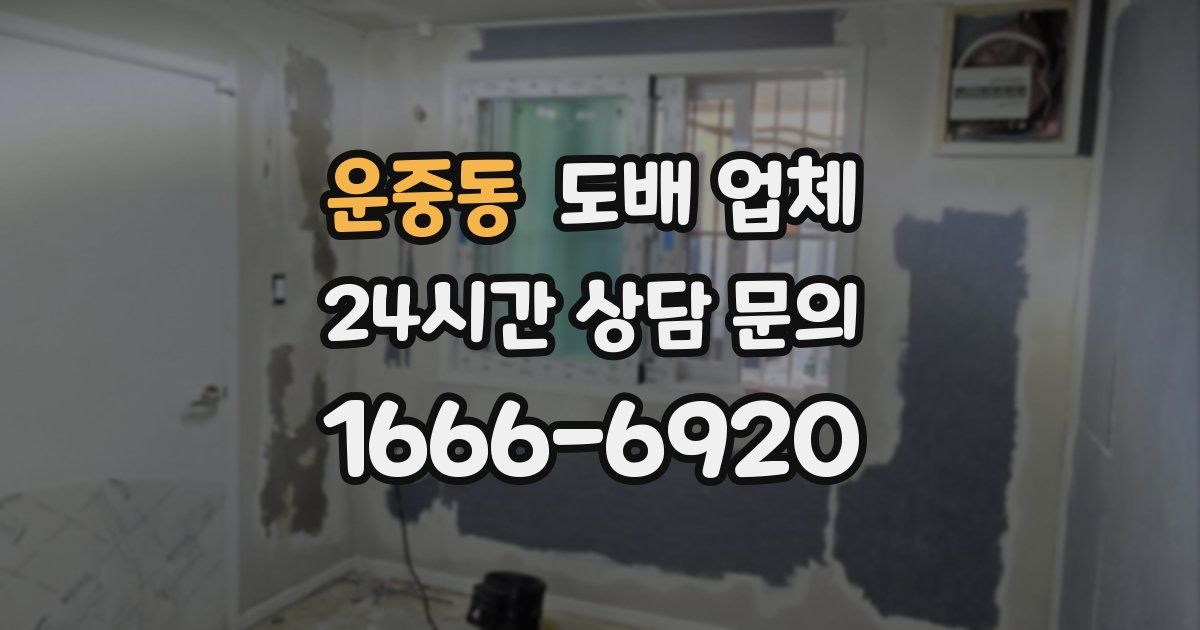 운중동 도배 업체