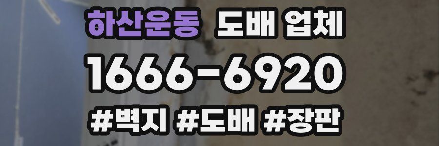 하산운동 도배 업체