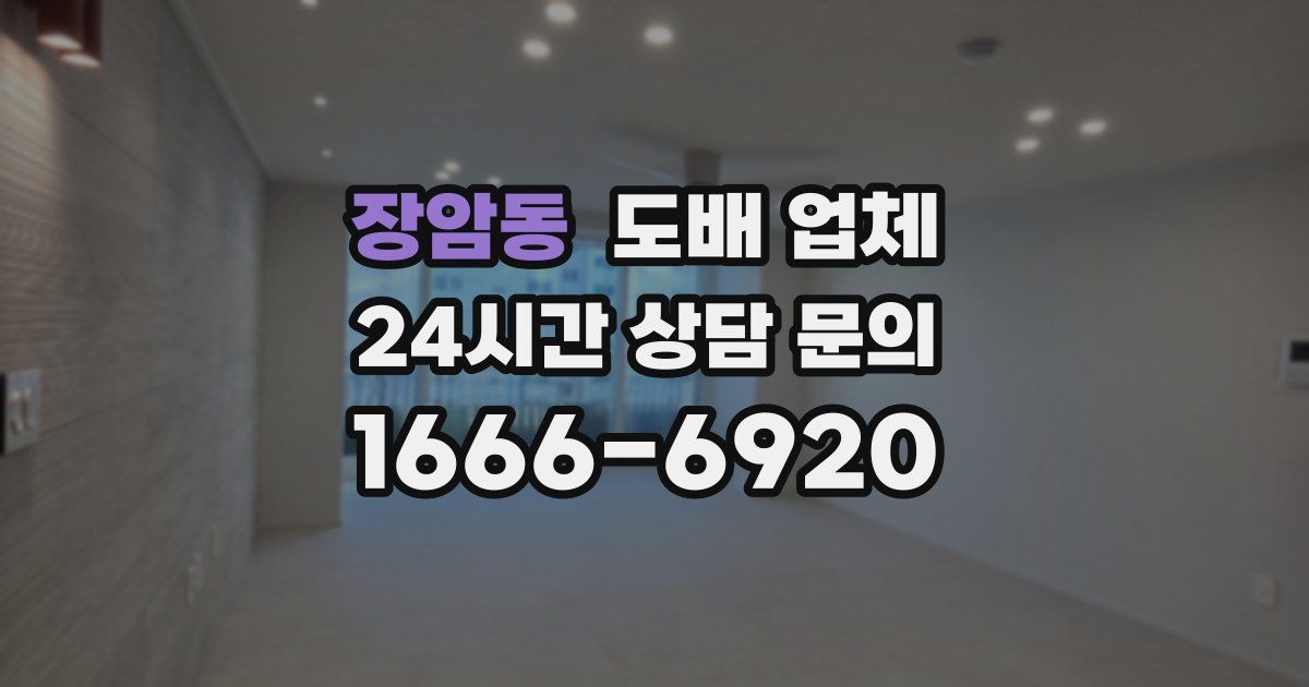 장암동 도배 업체
