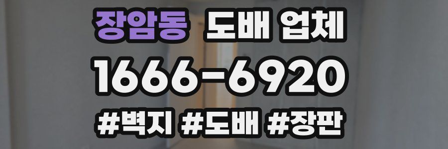 장암동 도배 업체