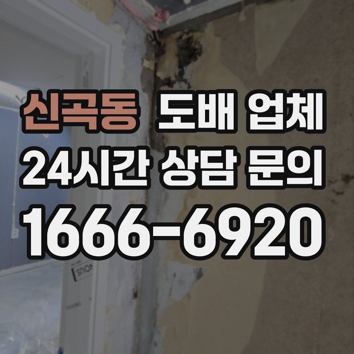 신곡동 도배 업체