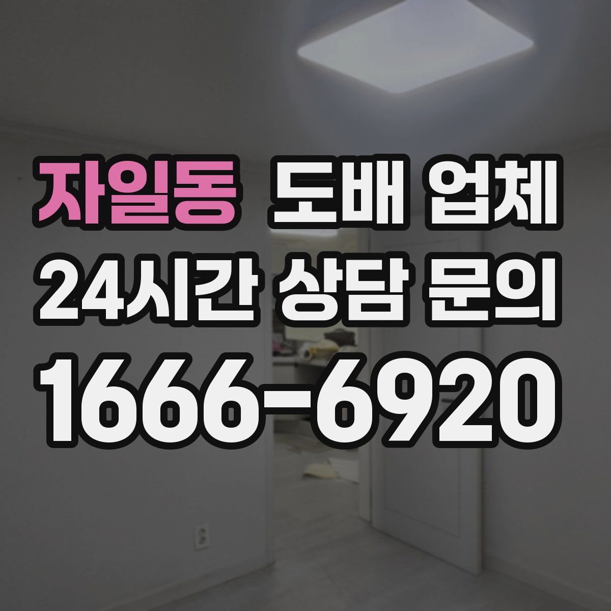 자일동 도배 업체