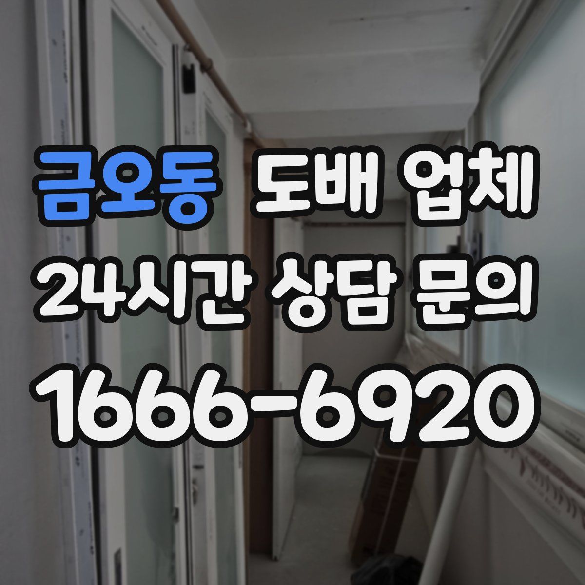금오동 도배 업체