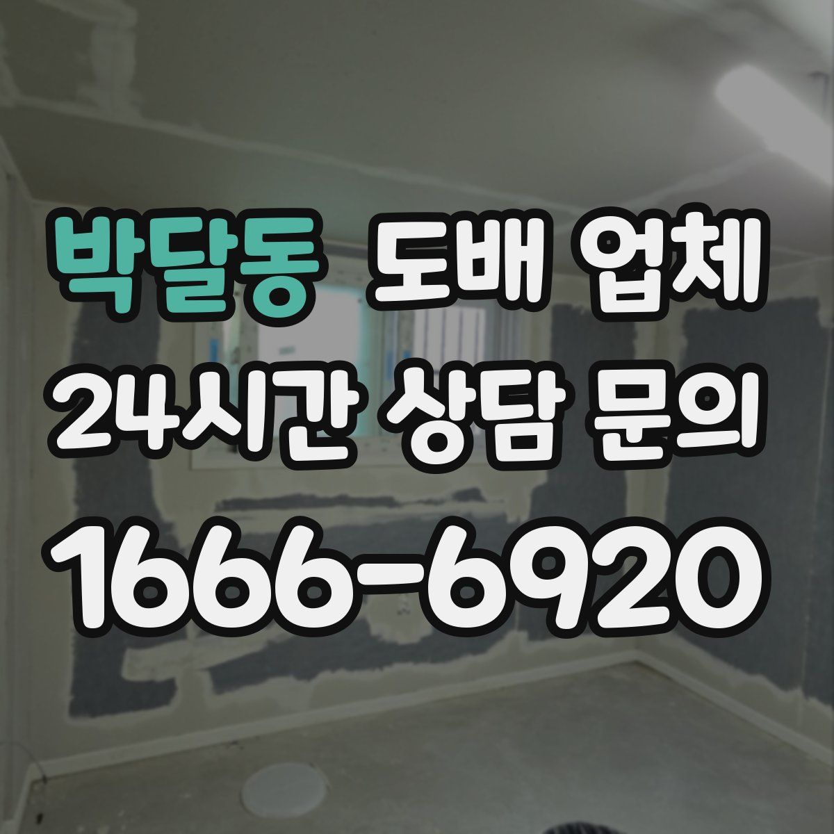 박달동 도배 업체