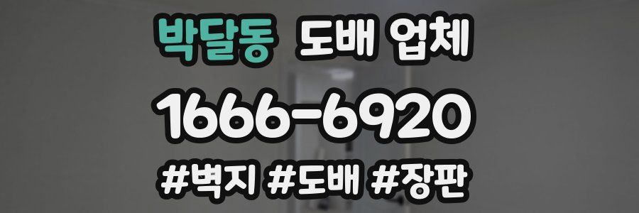 박달동 도배 업체