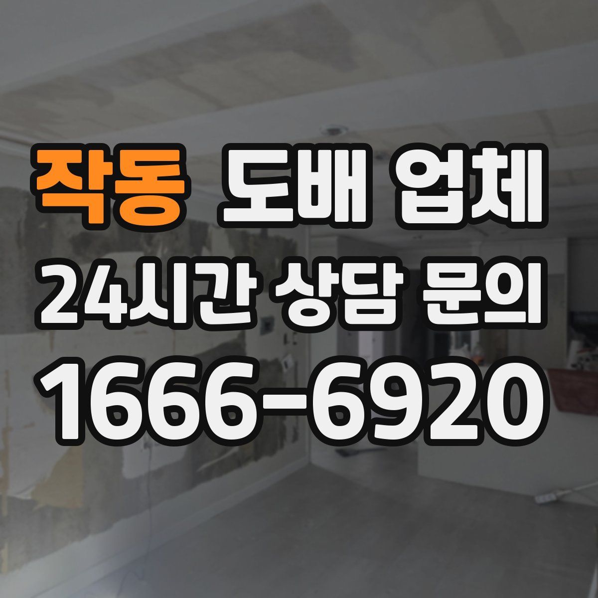 작동 도배 업체