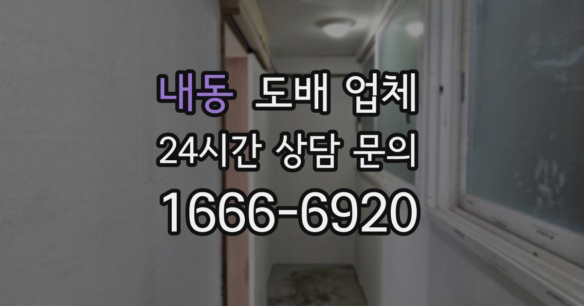 내동 도배 업체