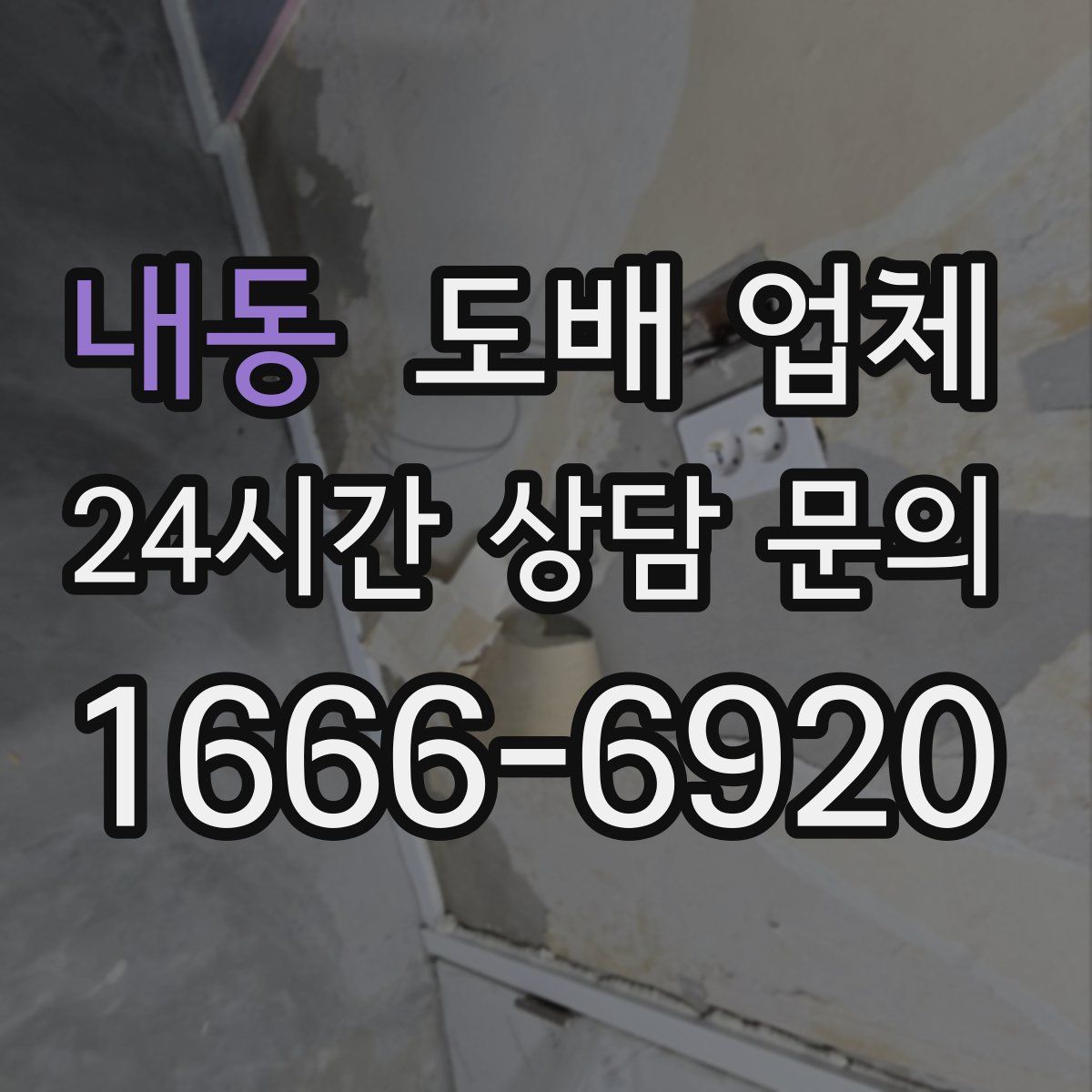 내동 도배 업체