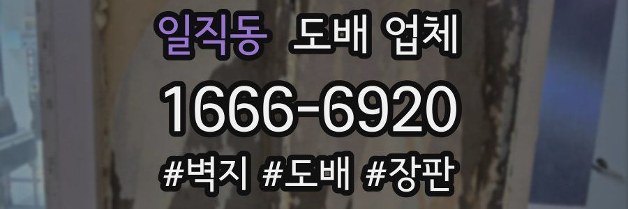 일직동 도배 업체